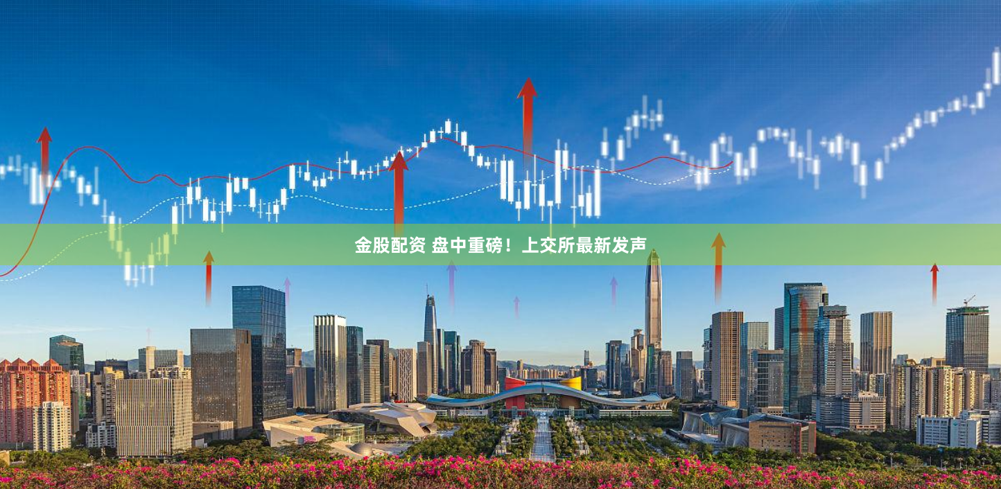金股配资 盘中重磅！上交所最新发声